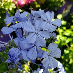 Meet your Posher, Ren